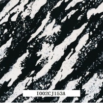 I002CJ153A