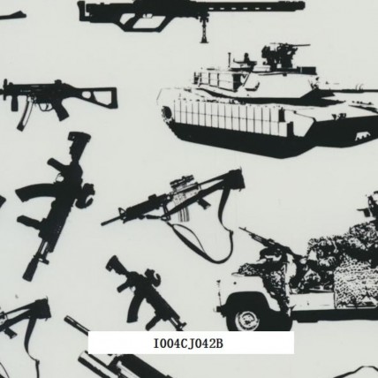 I004CJ042B