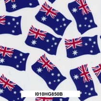 I010HG850B