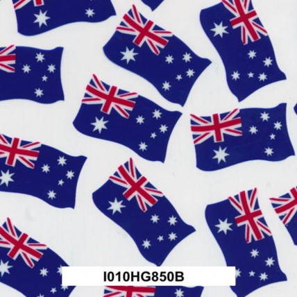 I010HG850B