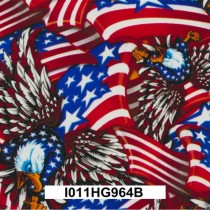 I011HG964B