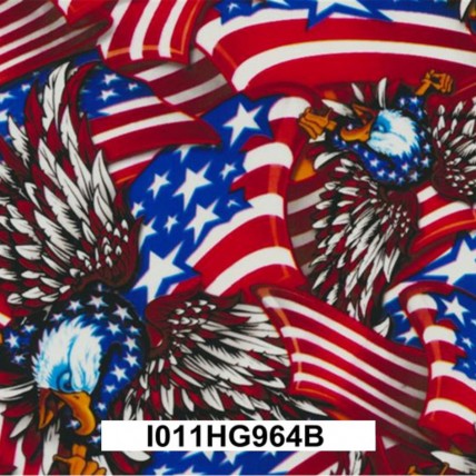 I011HG964B