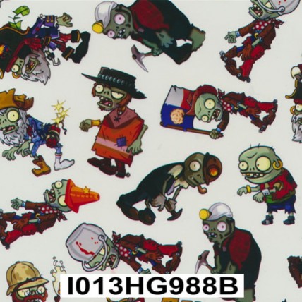 I013HG988B