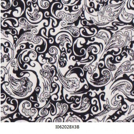 I062028X3B