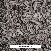 I099069X1B