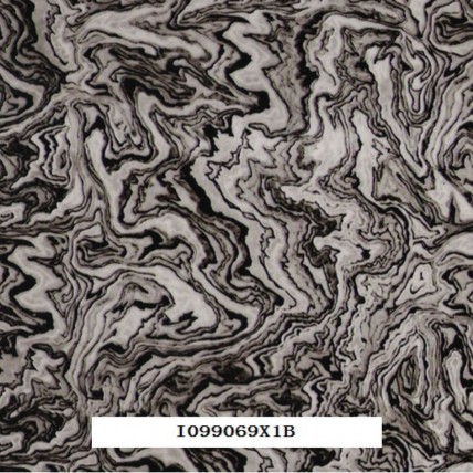I099069X1B
