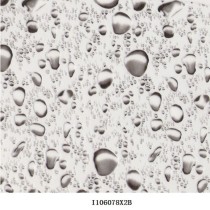 I106078X2B