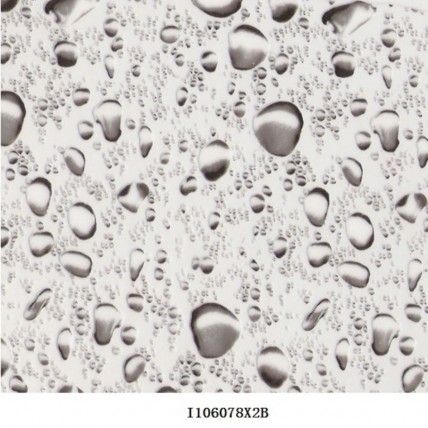 I106078X2B