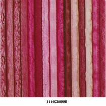 I110ZD099B