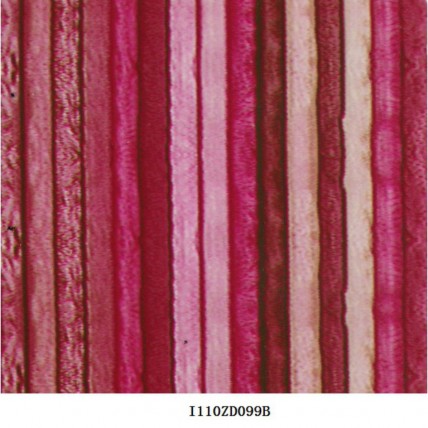 I110ZD099B