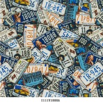 I111Y1888A