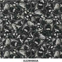I1229H003A