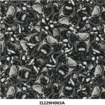 I1229H003A