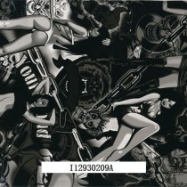 I12930209A