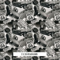 I135YA859B