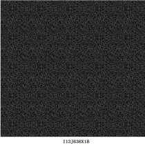 I13J636X1B