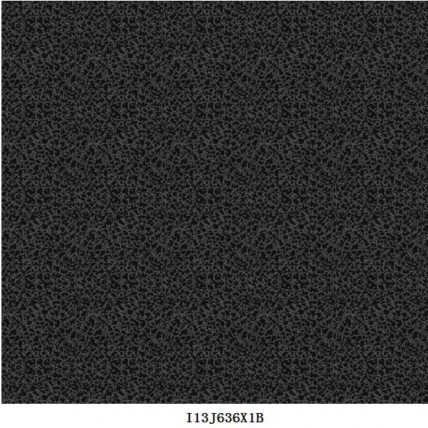 I13J636X1B
