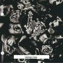 S005QJ156A