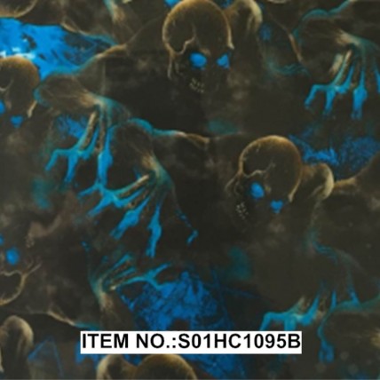 S01HC1095B