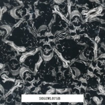 S05SWL075B