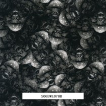 S06SWL078B