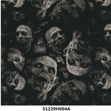 S1229H004A