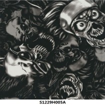 S1229H005A