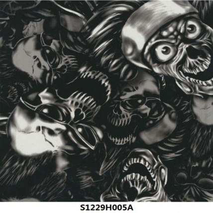 S1229H005A