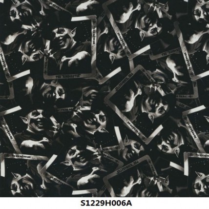 S1229H006A