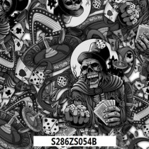 S286ZS054B
