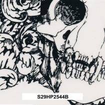 S29HP2544B