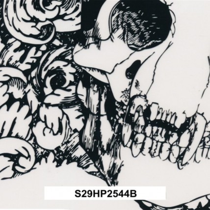 S29HP2544B