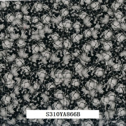 S310YA866B