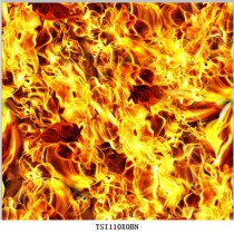 TSI110X0BN