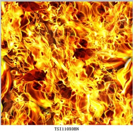 TSI110X0BN
