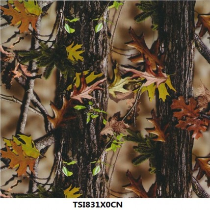 TSI831X0CN