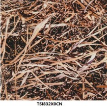 TSI832X0CN