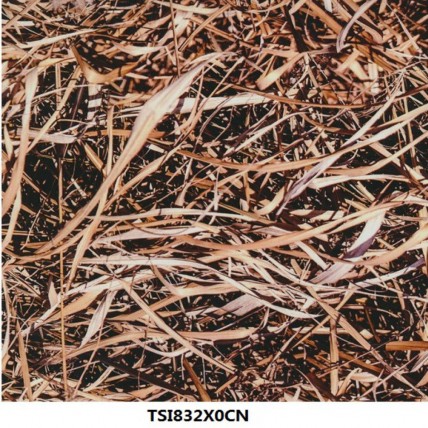 TSI832X0CN