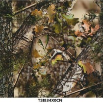 TSI834X0CN