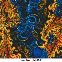 LMI0011