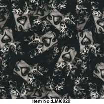 LMI0029
