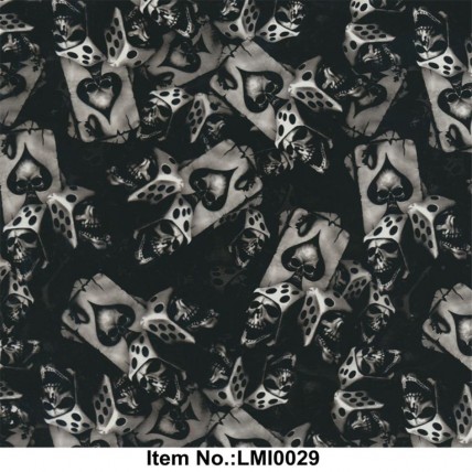 LMI0029