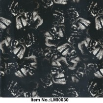 LMI0030