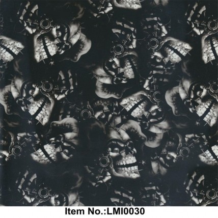 LMI0030