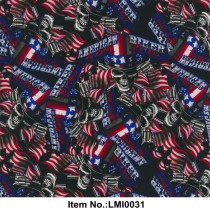 LMI0031