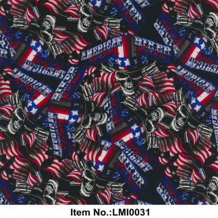 LMI0031