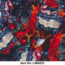 LMI0033