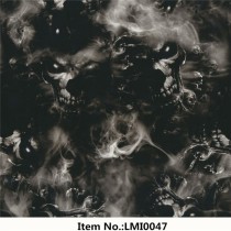 LMI0047