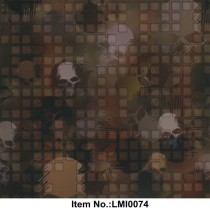 LMI 0074