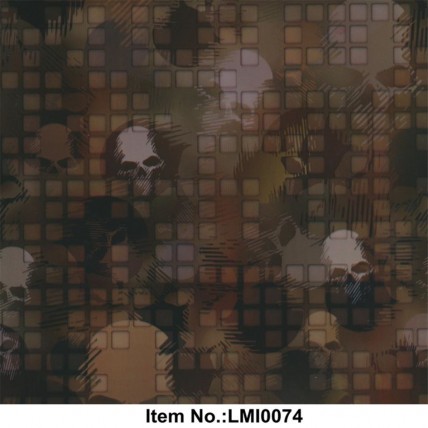 LMI 0074